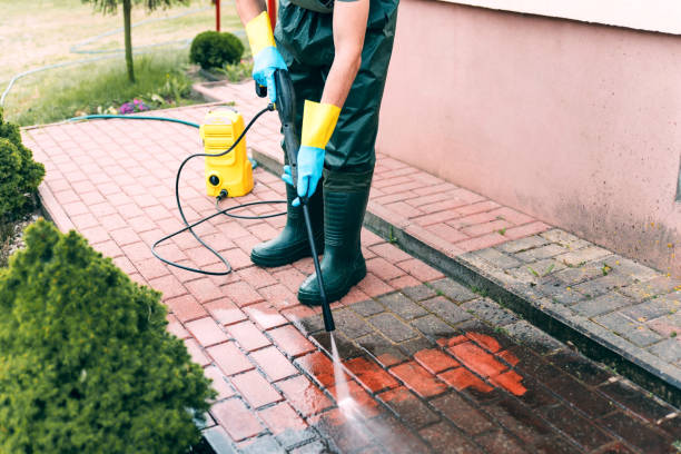 Animal Enclosure Cleaning in Utica, OH